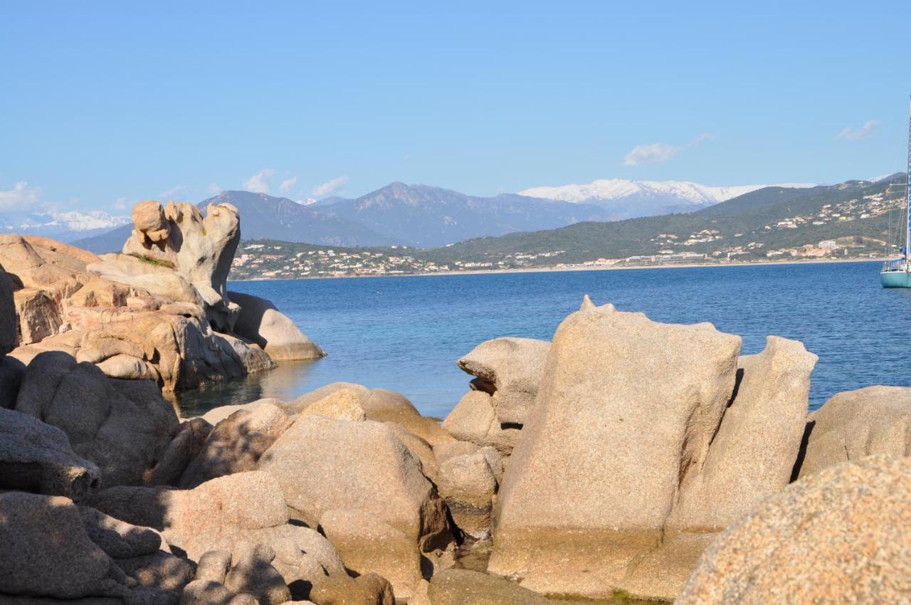 Appartement T2 Porticcio Vue Sur Mer المظهر الخارجي الصورة